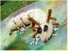 food image