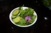 food image