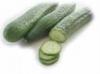 food image