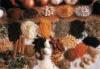 food image