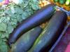 food image