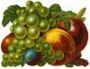food image