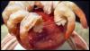 food image