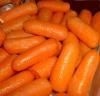 food image
