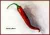food image