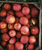 food image