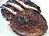 food image