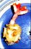 food image