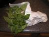 food image