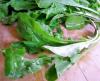 food image