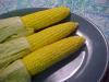 food image