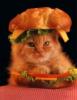 food image