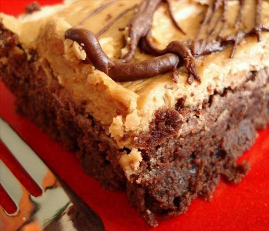 Mocha Brownies With Coffee Frosting. Photo by Marg (CaymanDesigns)