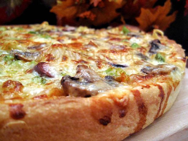 gourmet cruisers vegetarian pizza recipe food com gourmet cruisers vegetarian pizza recipe food com