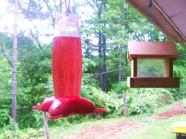 hummingbird syrup for feeders recipe food com hummingbird syrup for feeders recipe food com