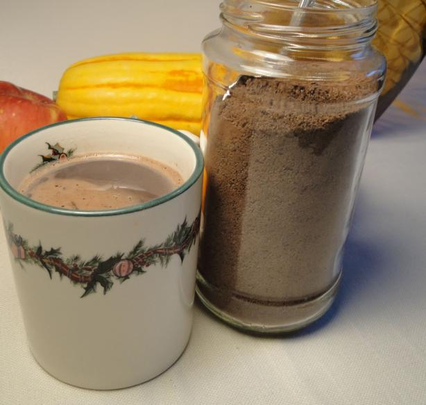Vegan Hot Chocolate Mix Recipe
