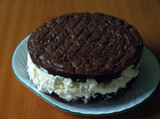 Giant Ice Cream Sandwich