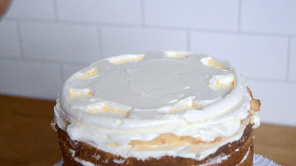 Fill Chambers With Blood