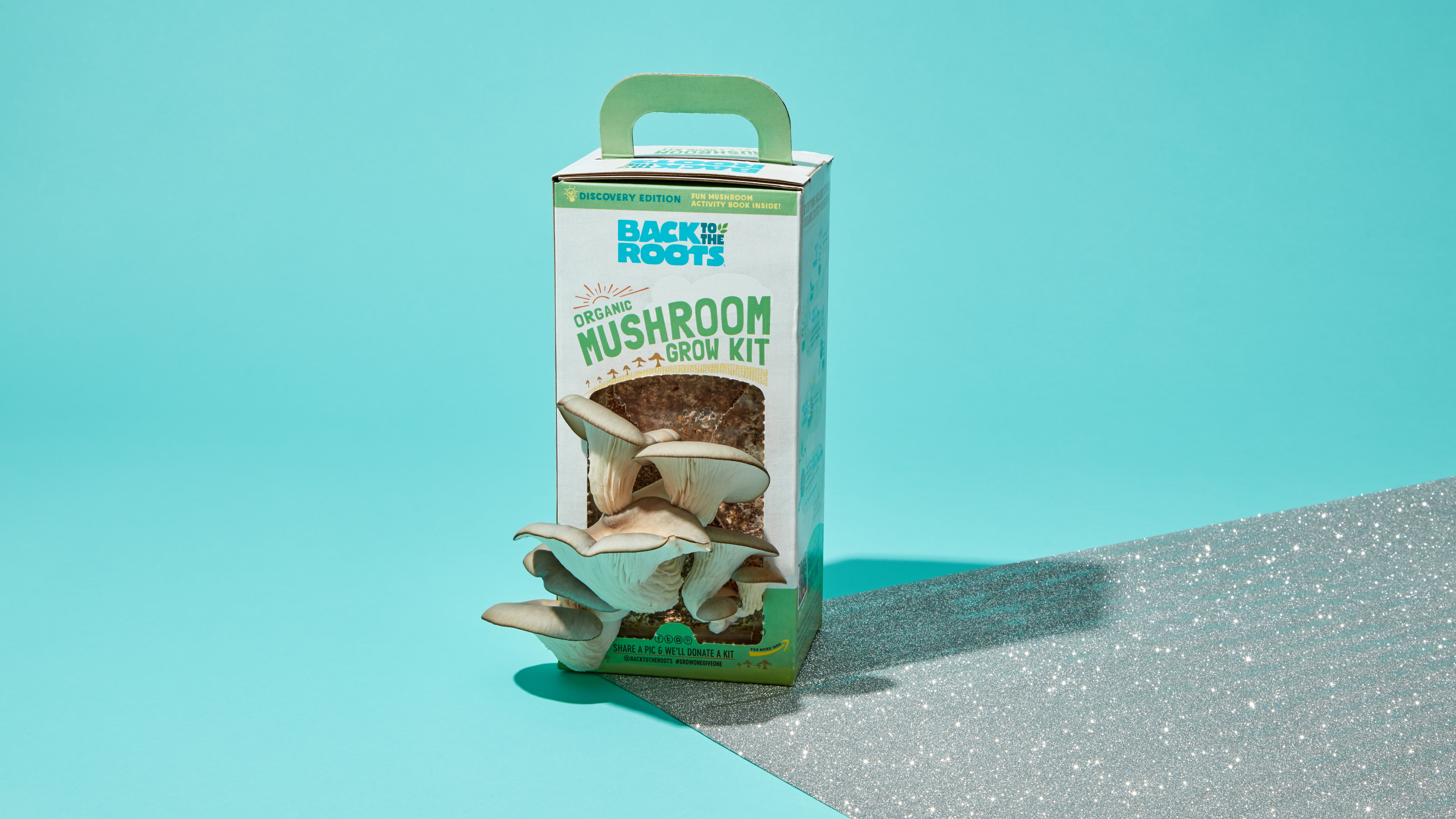 Mushroom-Growing Box