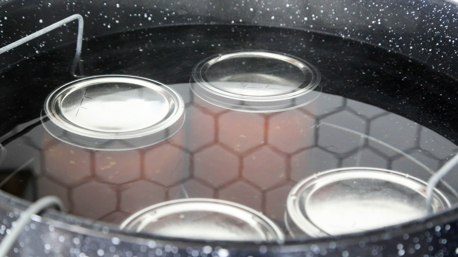 Step 13: The Right Water Level